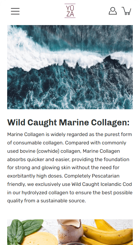 XgenTech | Shopify Experts | Shopify Design and Development