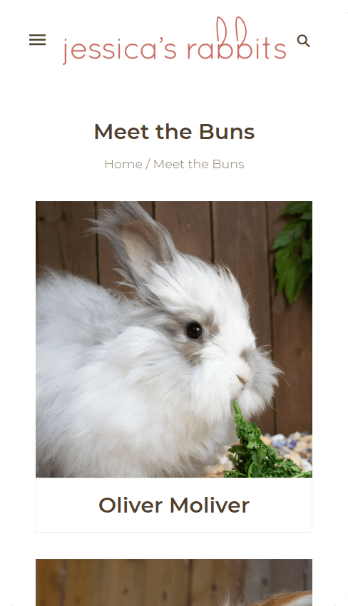 XgenTech | Shopify Experts | Shopify Design and Development