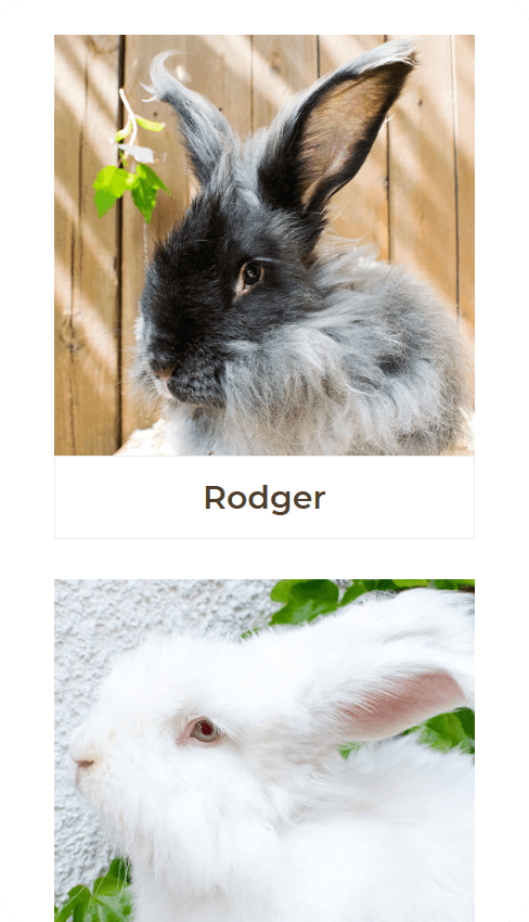 XgenTech | Shopify Experts | Shopify Design and Development