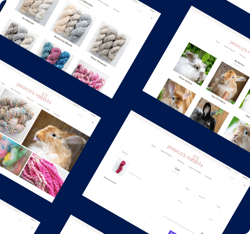 XgenTech | Shopify Experts | Shopify Design and Development