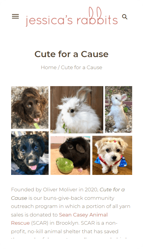 XgenTech | Shopify Experts | Shopify Design and Development