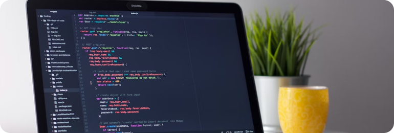 shopify web development