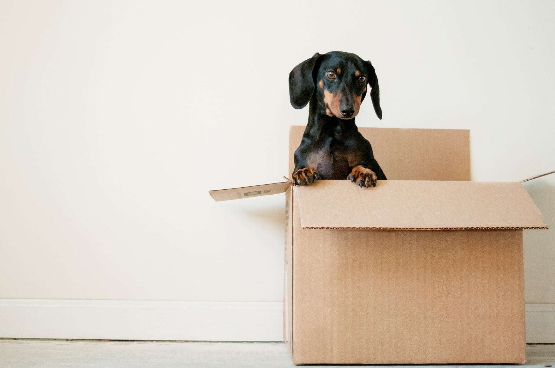 ecommerce fulfilment strategy